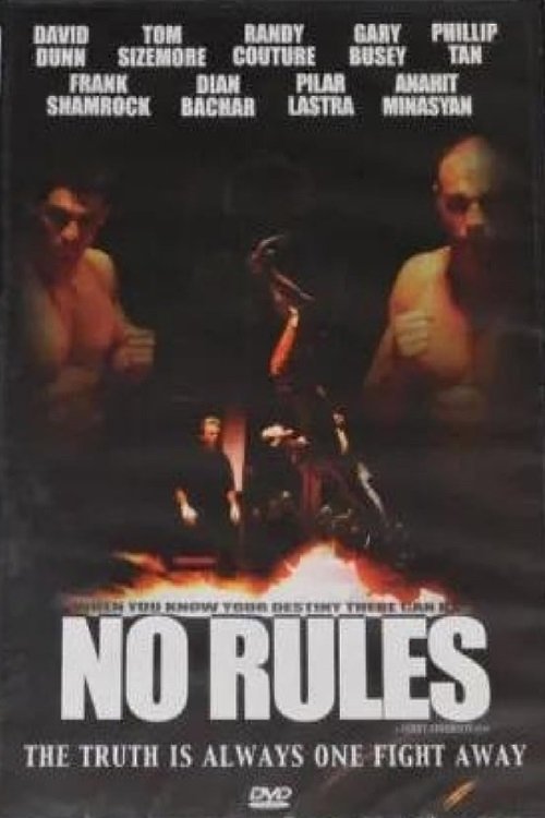 Постер No Rules